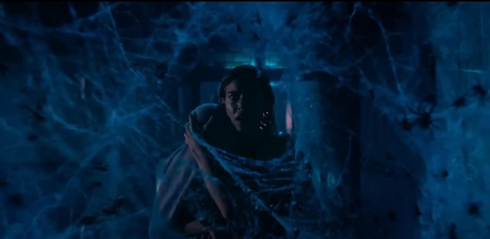 Crawlers — image 5